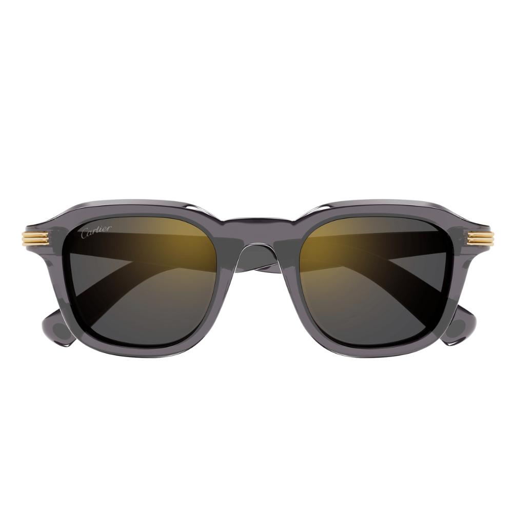 Cartier CT0536S 004