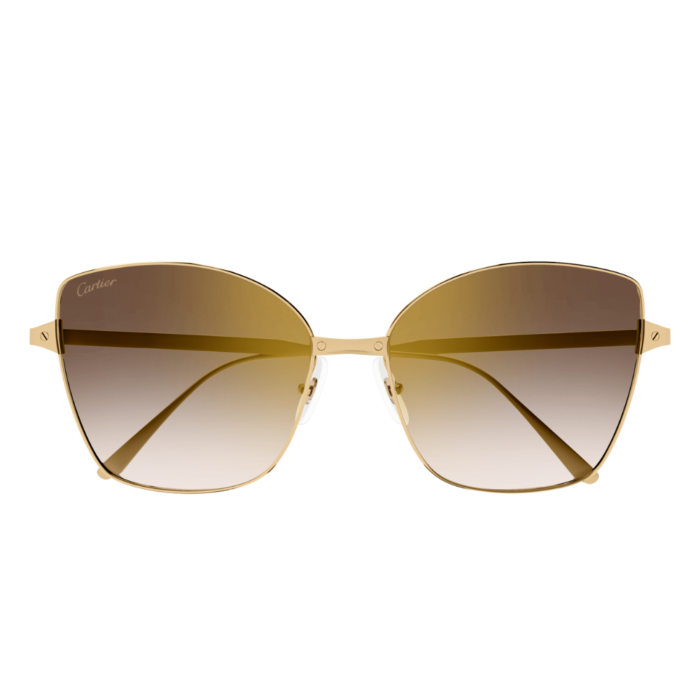 Cartier CT0328S 002