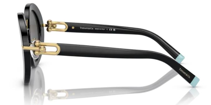 Tiffany & Co TF4201 8001/S4