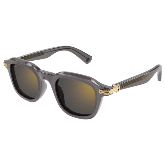 Cartier CT0536S 004
