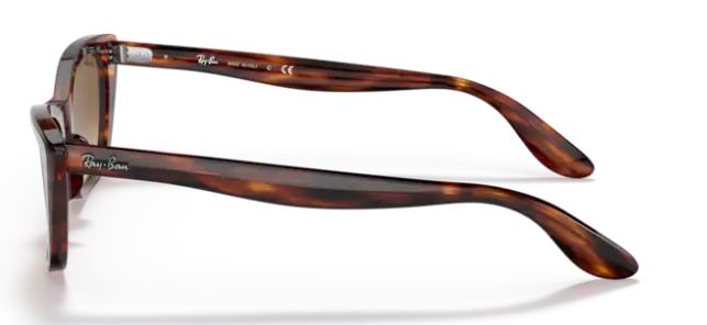 Ray Ban RB2299 Lady Burbank 954/51